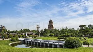 世界杯官网 冀州城市园林绿化管理条例
